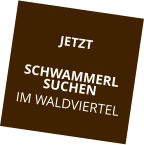JETZT SCHWAMMERLSUCHEN IM WALDVIERTEL