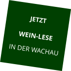 JETZT WEIN-LESE IN DER WACHAU